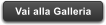 Vai alla Galleria