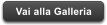 Vai alla Galleria