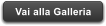 Vai alla Galleria