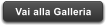 Vai alla Galleria