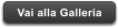Vai alla Galleria